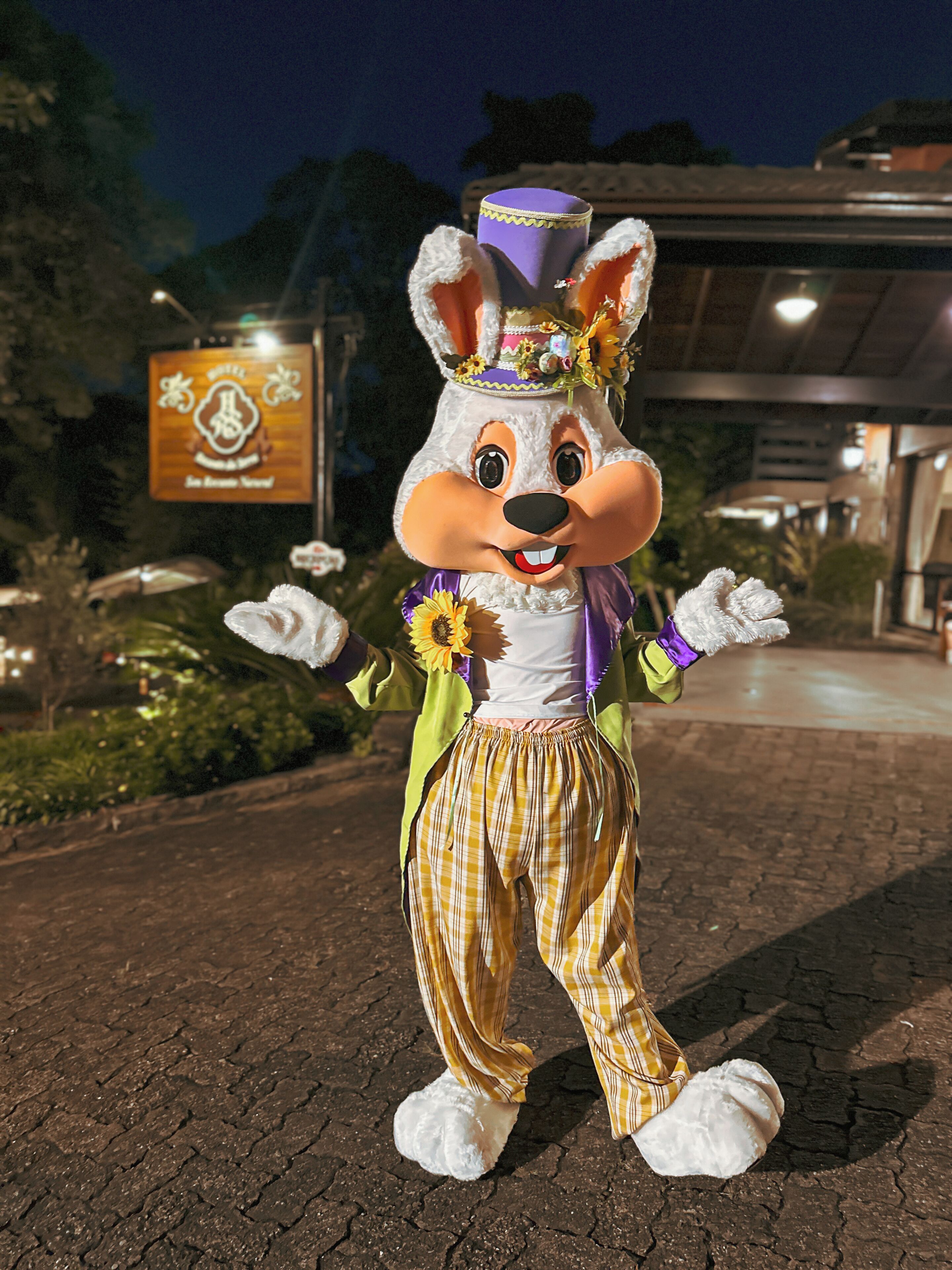 children’s activities