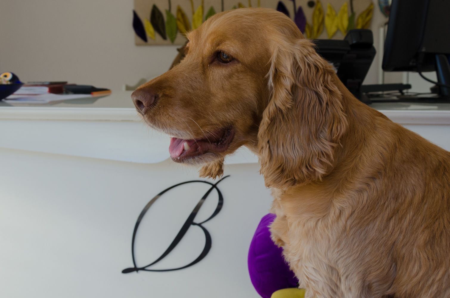 check-in/check-out kiosk