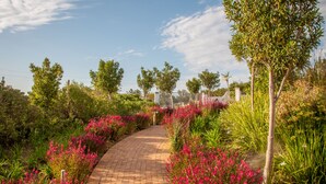 A paved pathway surrounded by lush greenery and flowering plants. - Wind-Rose Guest House (Cape Town)