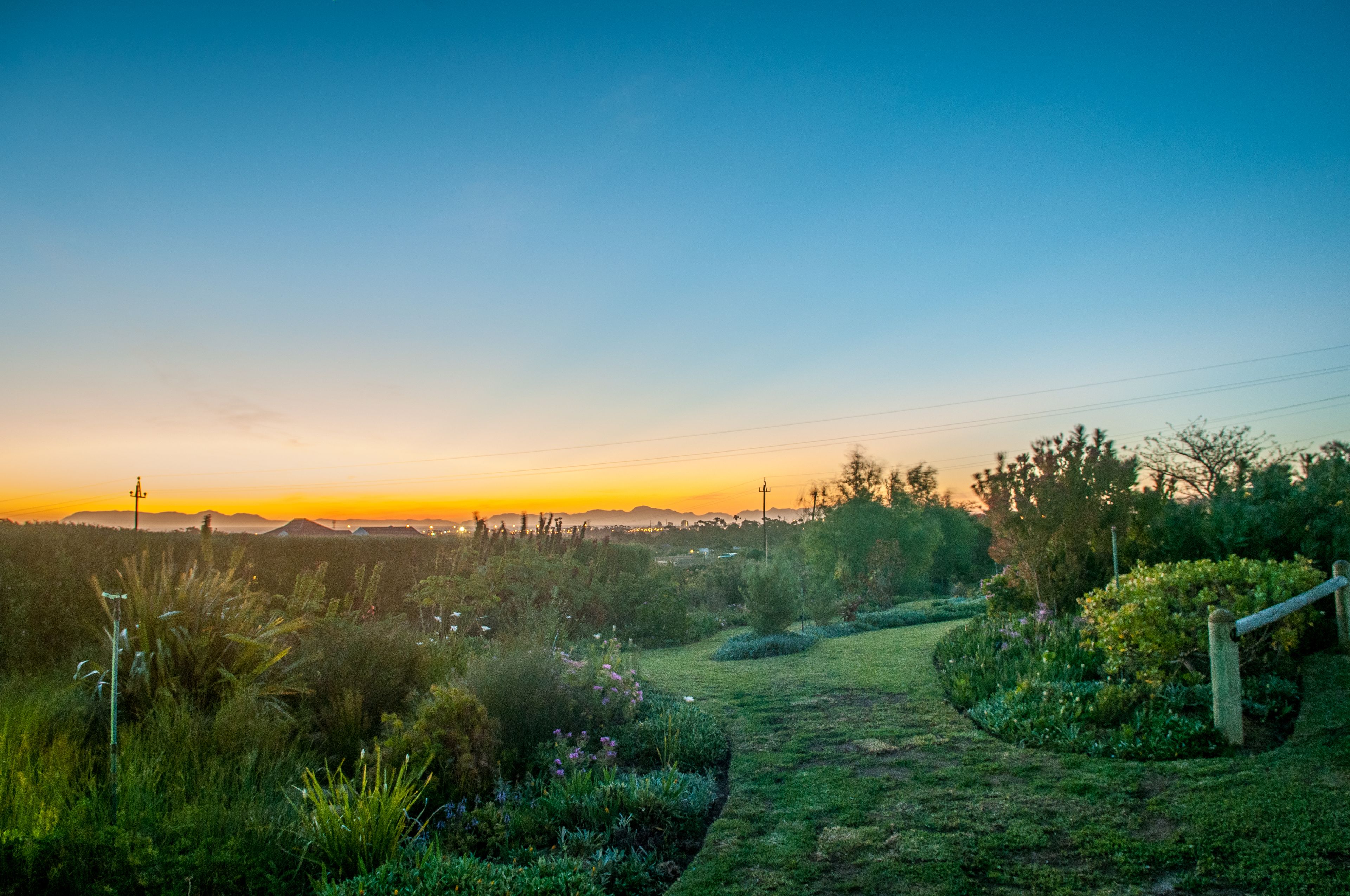 A garden pathway leading to a grassy area with various plants and shrubs.