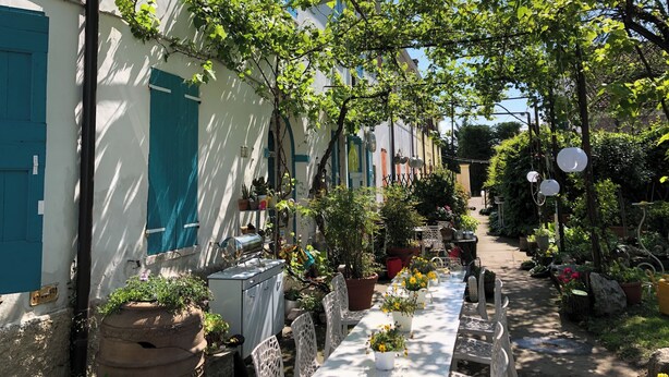 Un carrer estret amb filera de plantes en testos i taula de metall amb cadires.