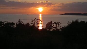 A sunset over a calm body of water with silhouettes of trees in the foreground.