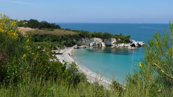 Sillas reclinables de playa, sombrillas, bar en la playa