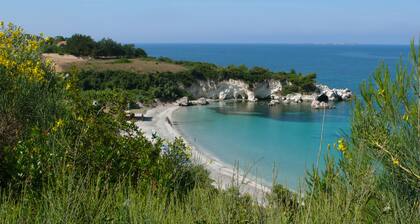 Oskars Studios & Apartments