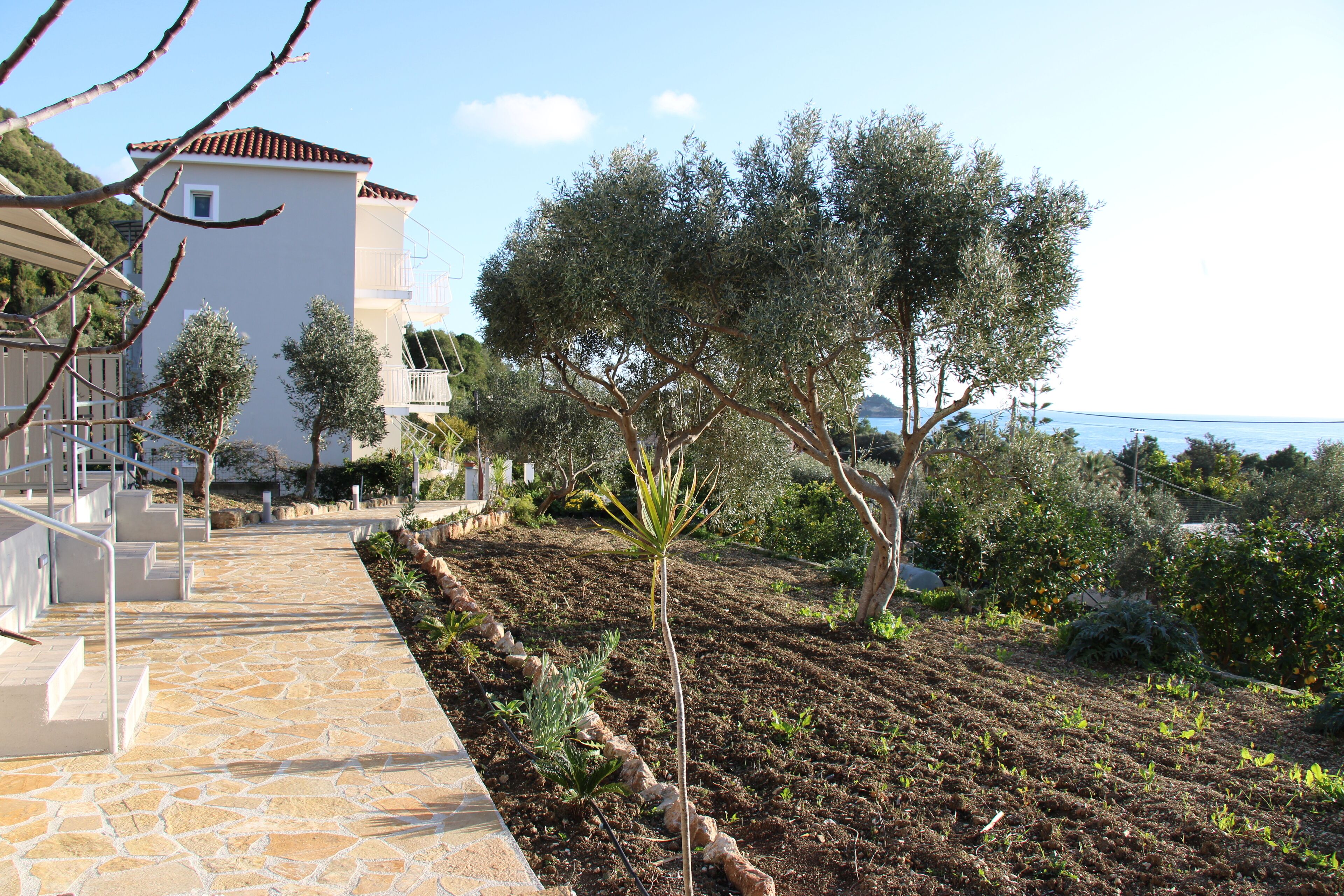 Foto - Oskars Studios & Apartments