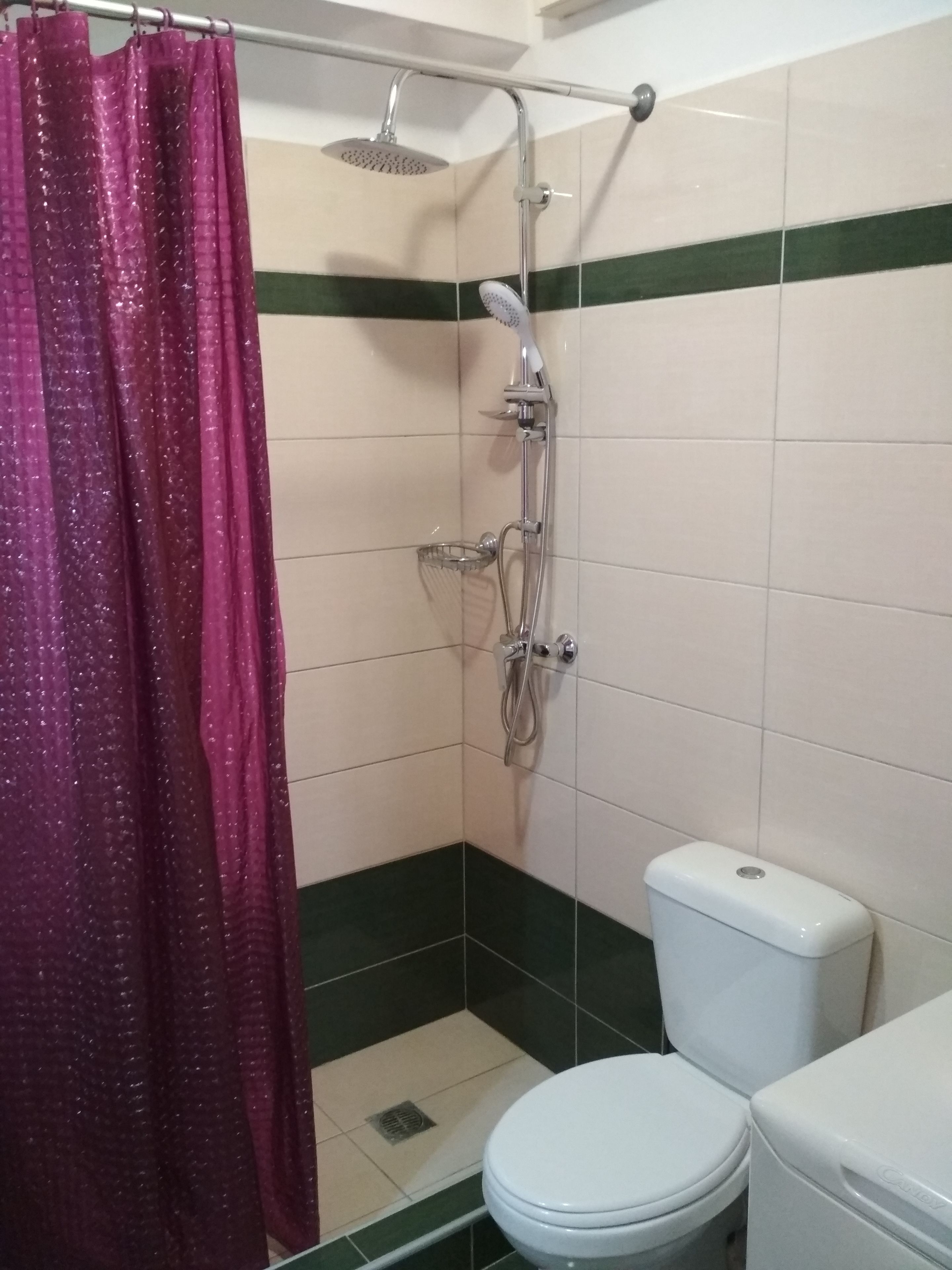A bathroom with a shower, toilet, and a shower curtain.