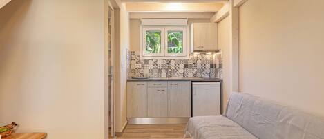 A compact kitchen with wooden cabinets, a tiled backsplash, and a window with greenery visible through it.