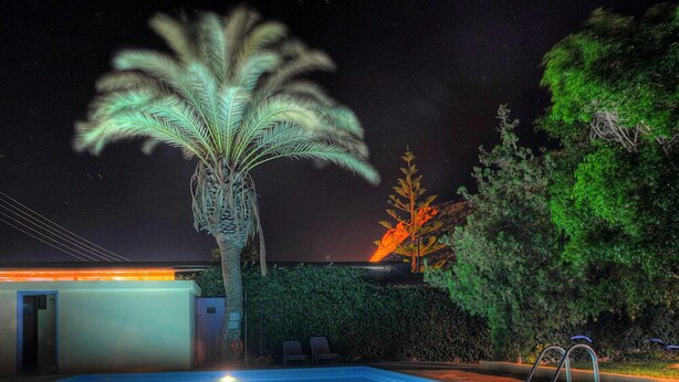 Ein Swimmingpool mit einer Palme, einer Hecke und einem Gebäude mit einer Tür und zwei Stühlen.