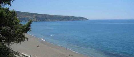 在海灘附近、躺椅、太陽傘、排球