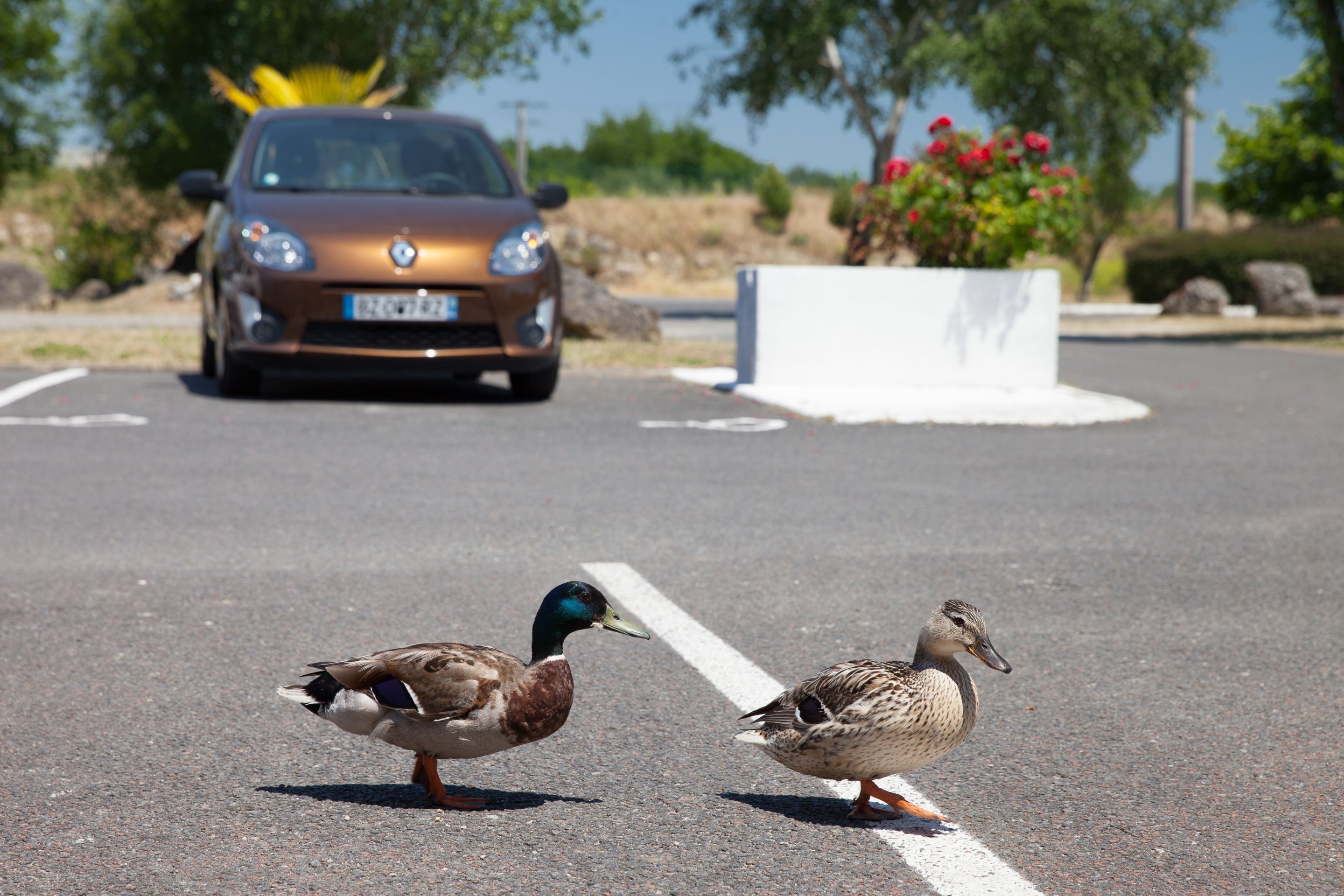 Foto - The Originals Access, Hôtel Bordeaux Lac