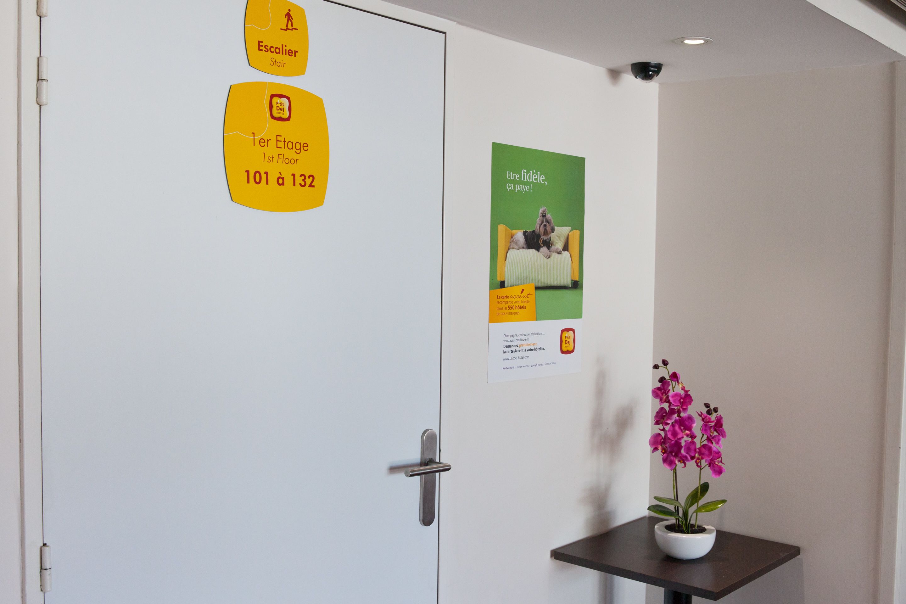 A hotel room with a white door, a small table with a potted orchid, and a poster on the wall.