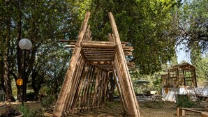 A bamboo structure in a park with trees, a lamp post, and a small building. - Eilon TravelHotel (Mateh Asher)