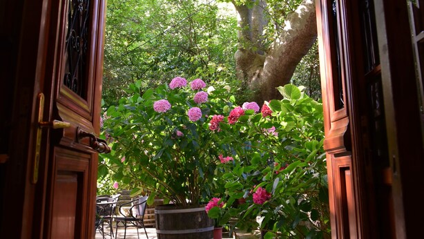 A wooden door leading to a garden with potted plants and a table. - Filoxenia (Volos)