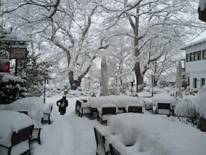A snowy park with benches and trees covered in snow.