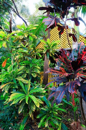 Garden - Habitat Resort (Minyirr)