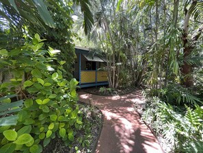 A pathway leading to a small structure surrounded by dense tropical foliage.