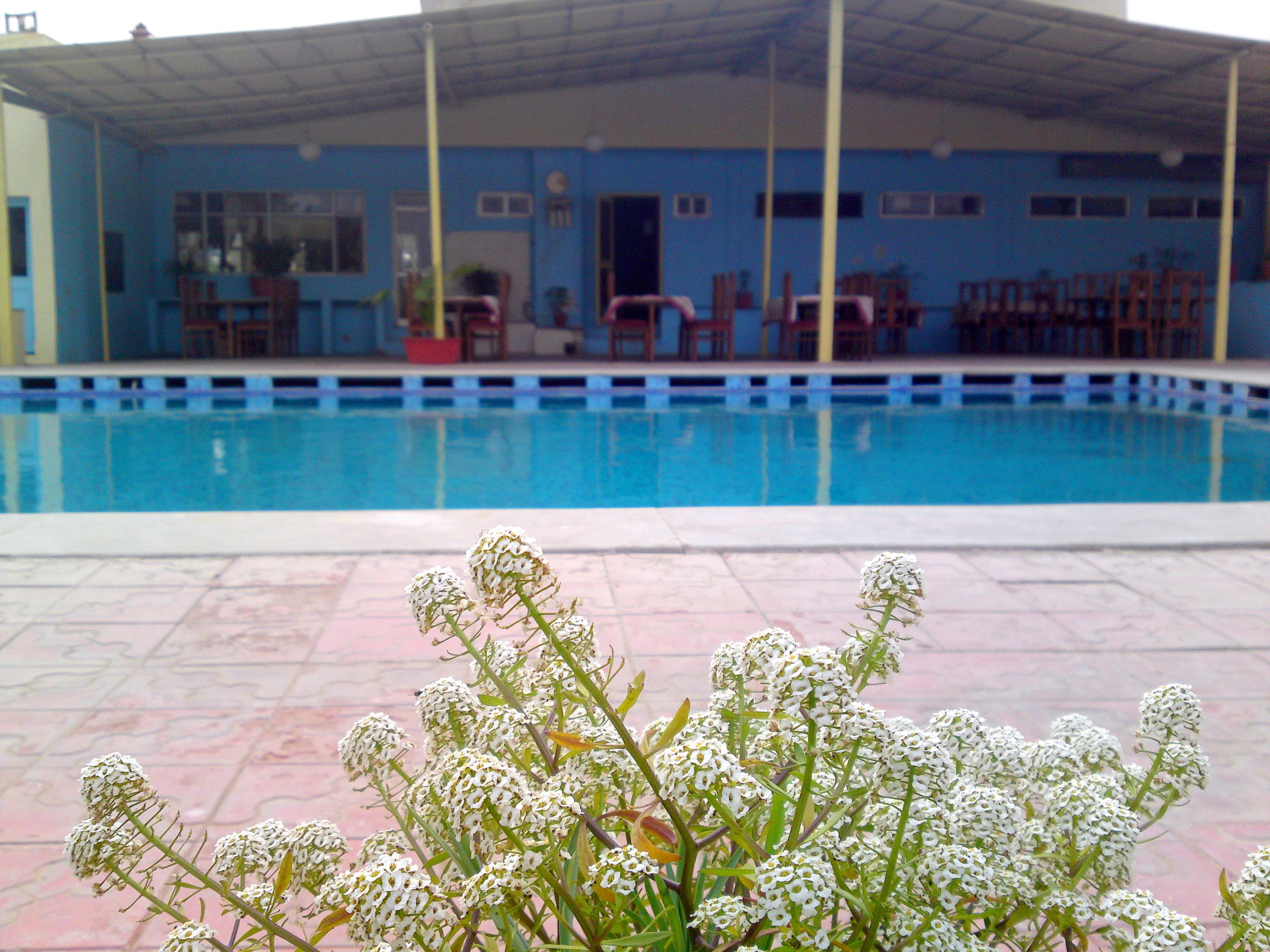 Ein Swimmingpool mit blau-weißen Fliesen umgeben von einem Gebäude mit blauen Wänden und einem Vordach.