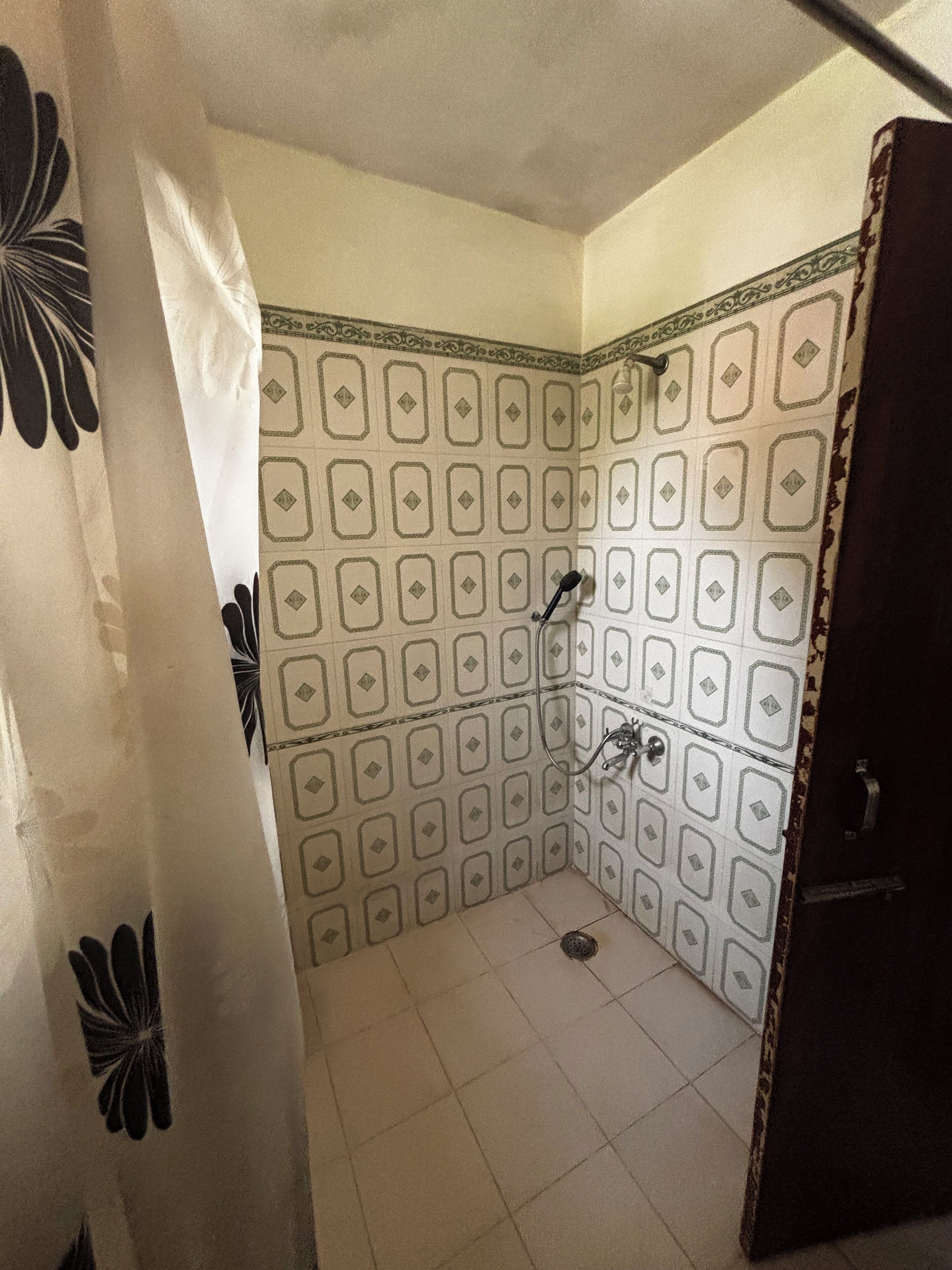 Une salle de bain avec des carreaux décorés, une douche et une porte.