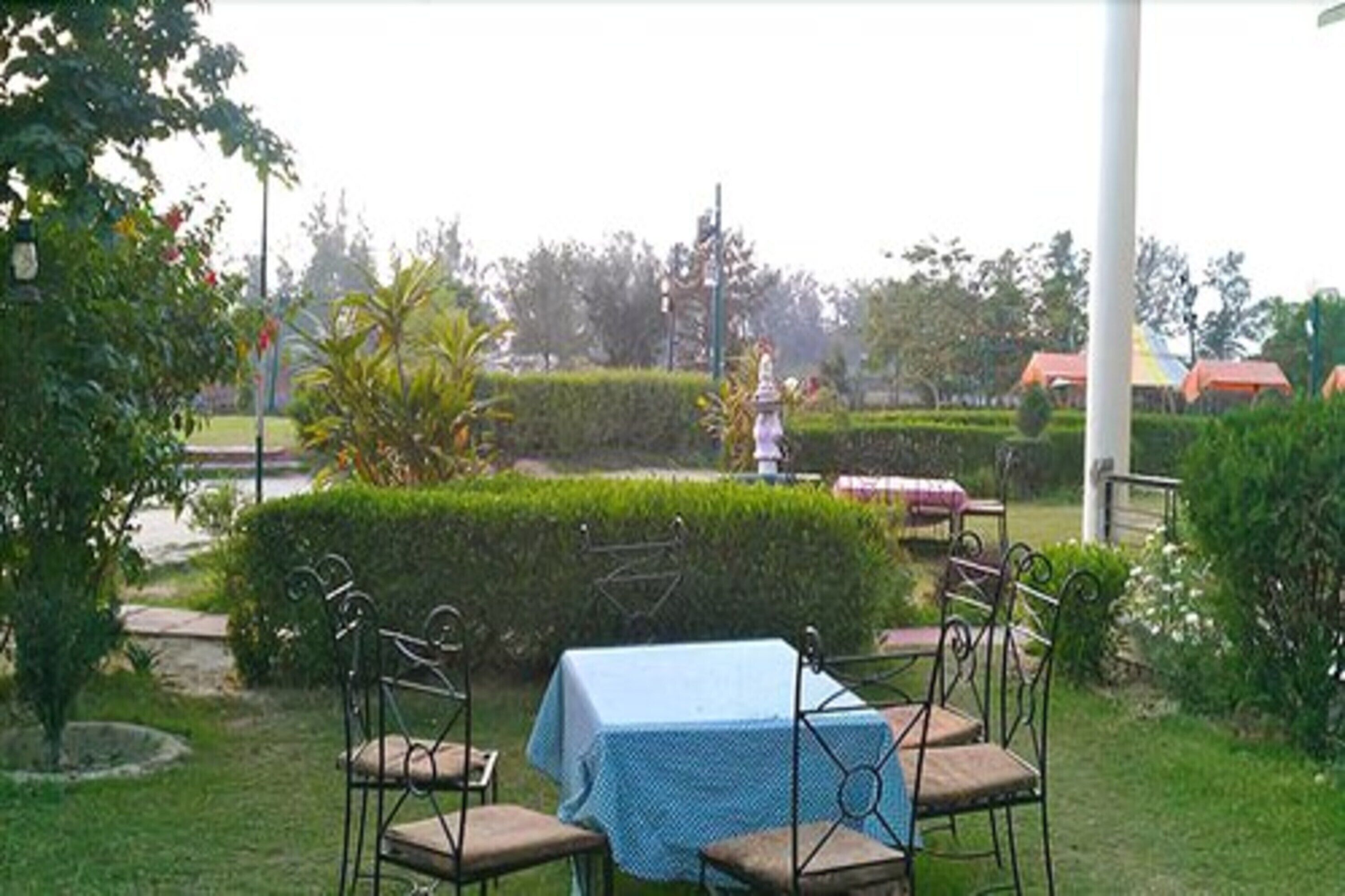 An outdoor seating area with a table and chairs, surrounded by greenery and a hedge.