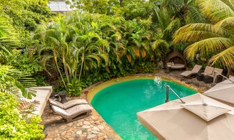Una piscina rodeada de exuberante vegetación y mobiliario exterior.