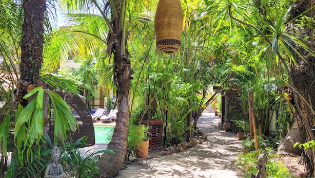 A pathway lined with palm trees and a statue, leading to a pool area.