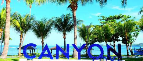 A sign with the word "CANYON" in large blue letters, surrounded by palm trees and a view of the sea.