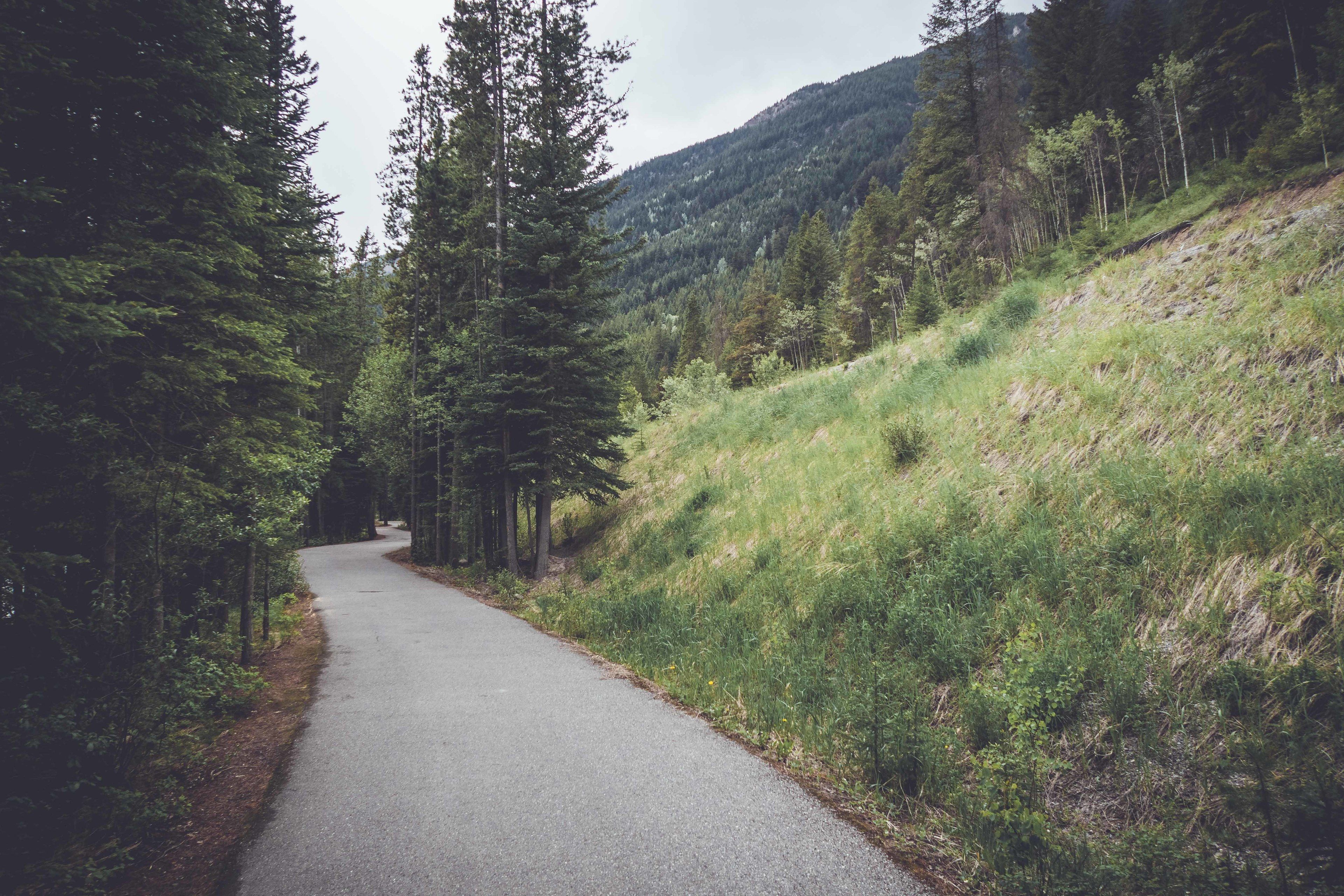 A narrow, paved road flanked by dense forests and a hillside.