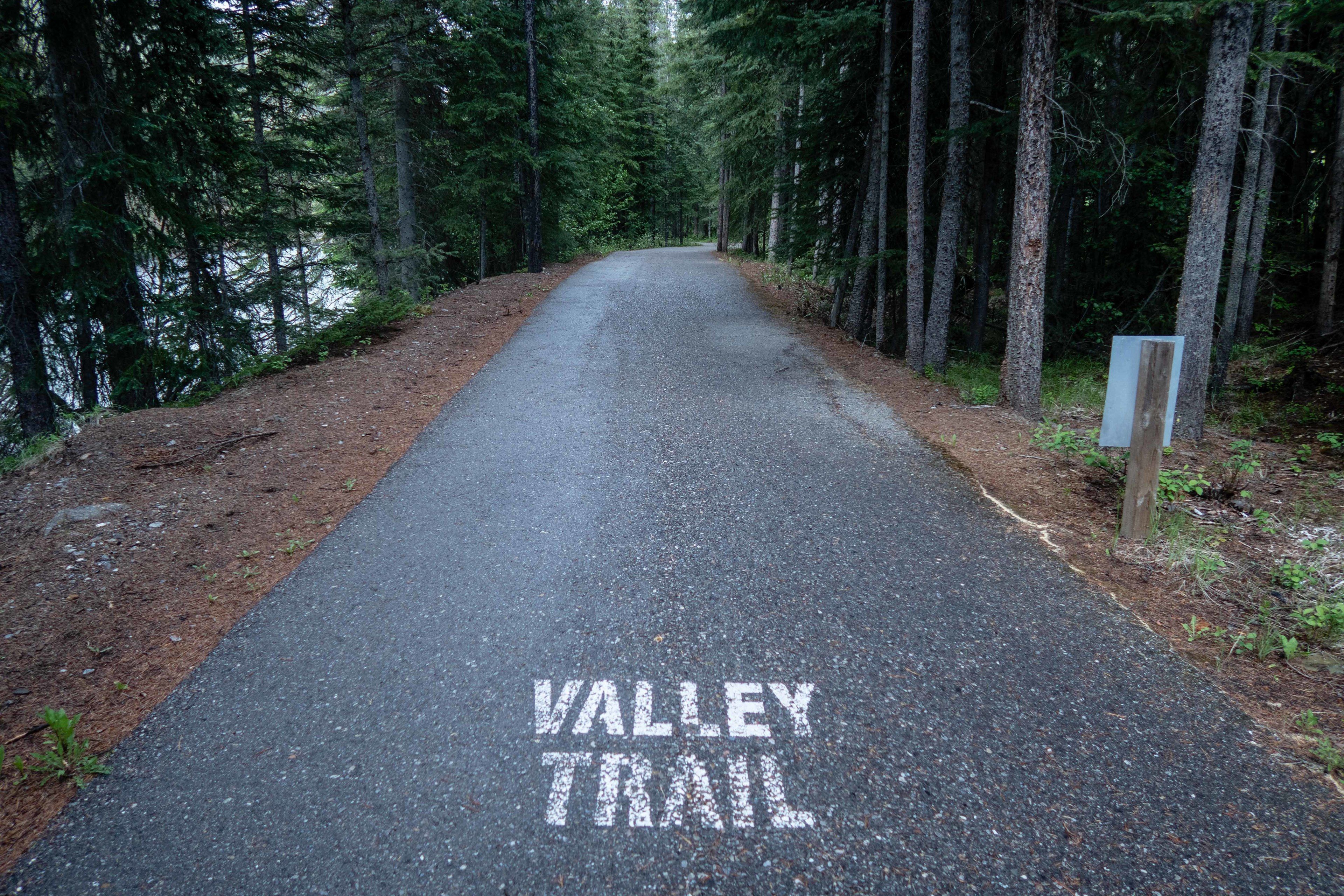 Un sentier pavé, balisé « VALLEY TRAIL », serpente à travers une forêt dense.