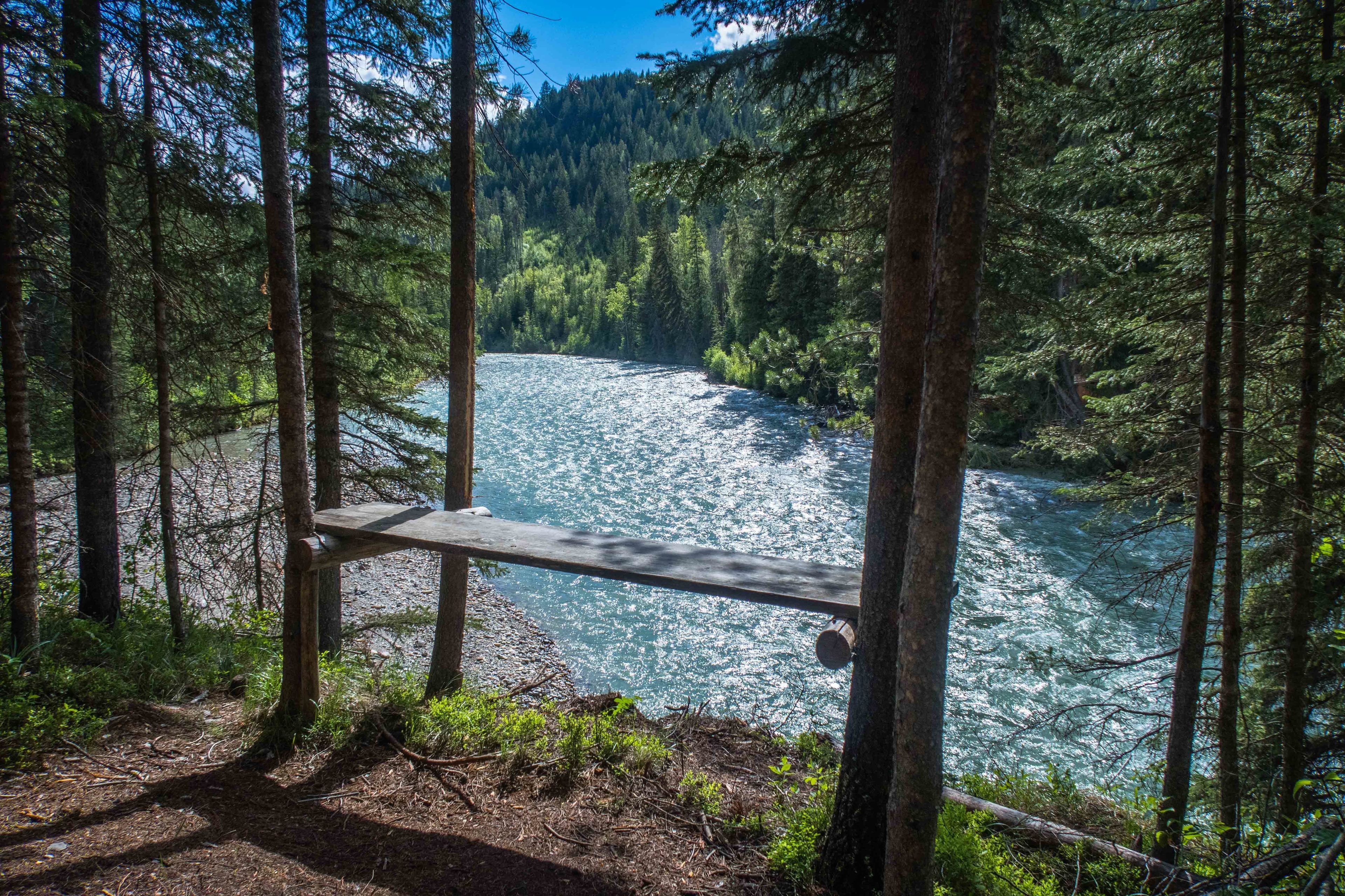 A wooden bench overlooking a river surrounded by dense forest.