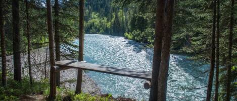 A wooden bench overlooking a river surrounded by dense forest.