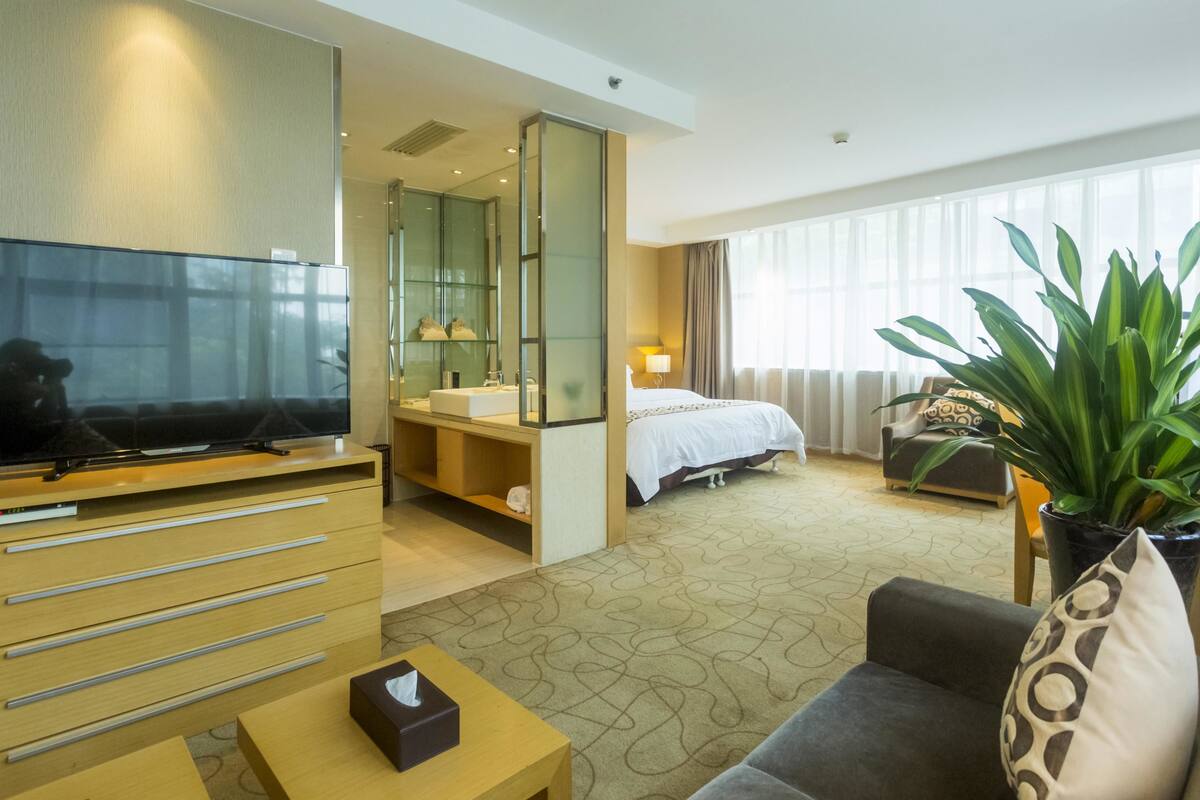 Une chambre d’hôtel équipée d’une télévision, d’un lit, d’un bureau, d’une chaise, d’un canapé, d’une grande plante et d’une salle de bain avec un miroir et un lavabo.