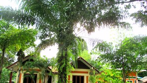 A bungalow with a thatched roof, surrounded by lush greenery and a well-maintained garden. - Happiness Resort (Krabi)