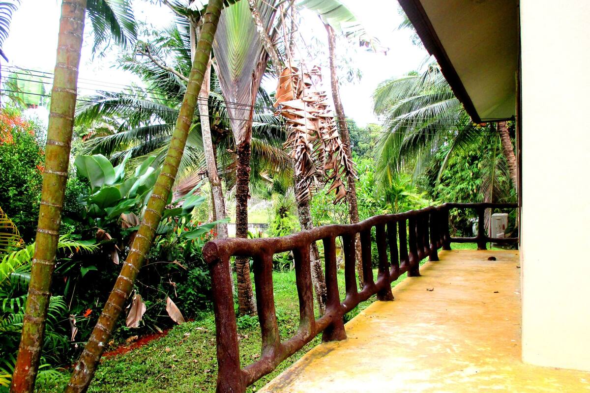 A pathway with a wooden railing, surrounded by lush greenery and palm trees.