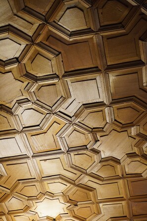 A geometric ceiling pattern with hexagonal shapes. - Swan Group Of Houseboats (Srinagar)