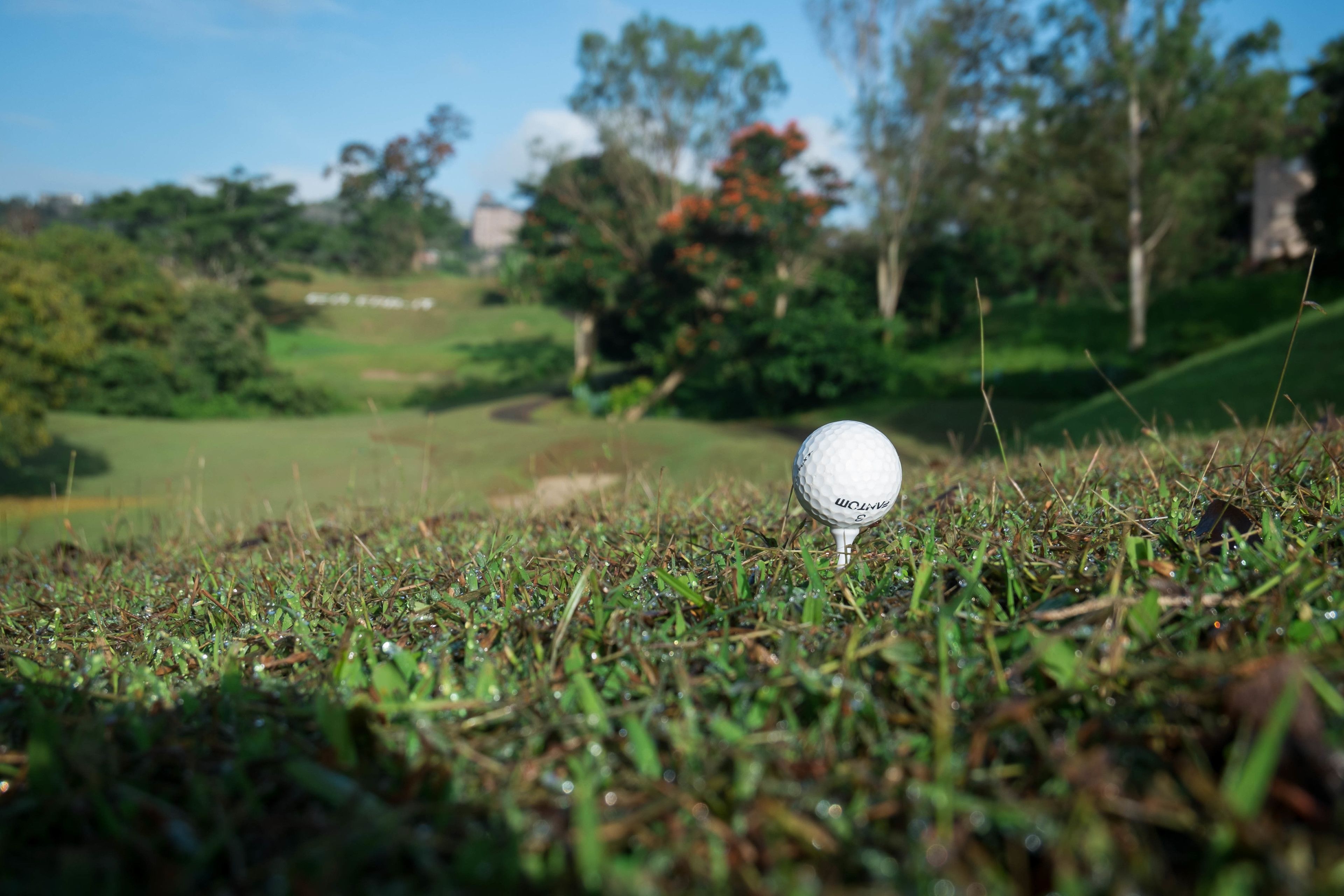 A golf ball on a tee on a grassy field with trees and a building in the background.
