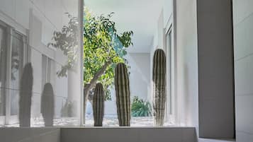 Vista desde la propiedad