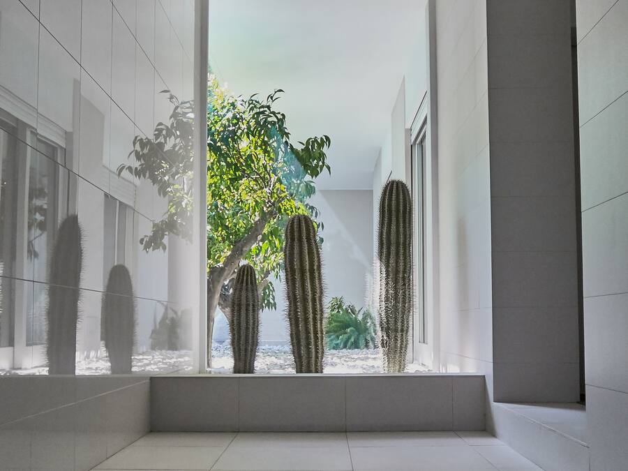 View from property
