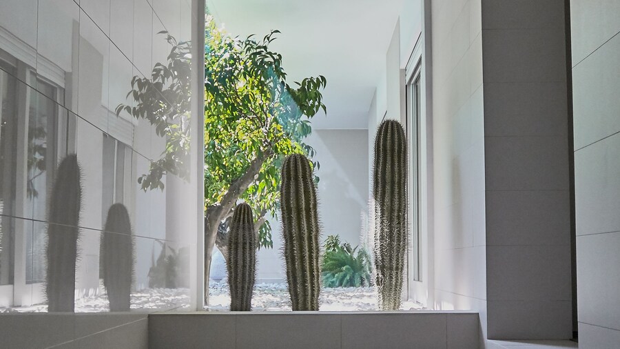 Soglow Business Class Aparthotel