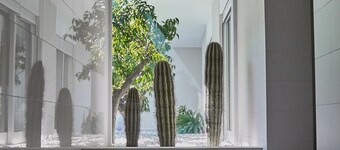 Soglow Business Class Aparthotel