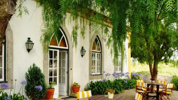 Une terrasse avec une table et des chaises, entourée de plantes en pot et d’un bâtiment blanc doté de fenêtres et de portes en arc de cercle.