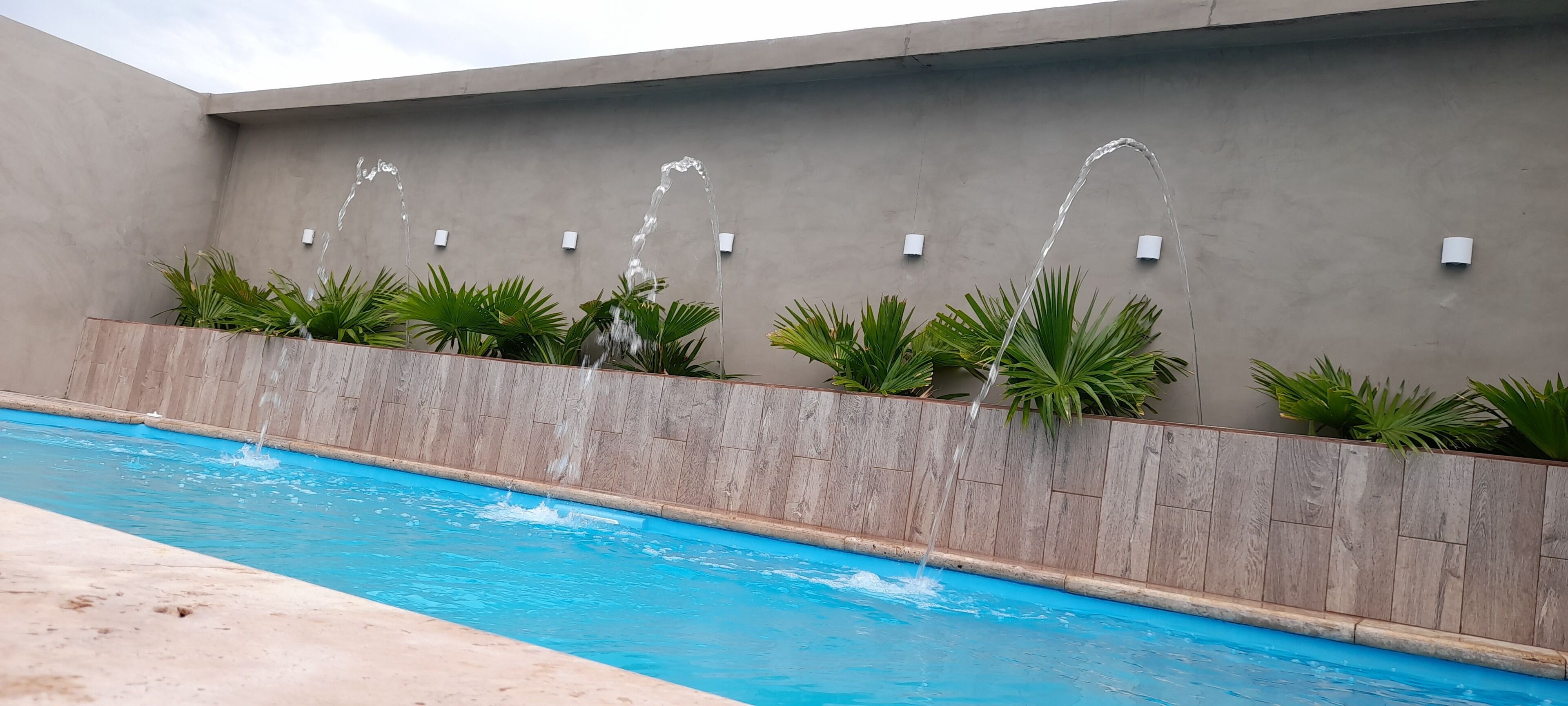A swimming pool with water jets against a wall, surrounded by plants.
