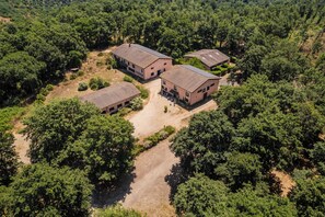 Aerial view - Tenuta Monte la Guardia (Cerveteri)