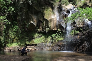 Una cascata in una zona boschiva con una persona su un cavalletto.