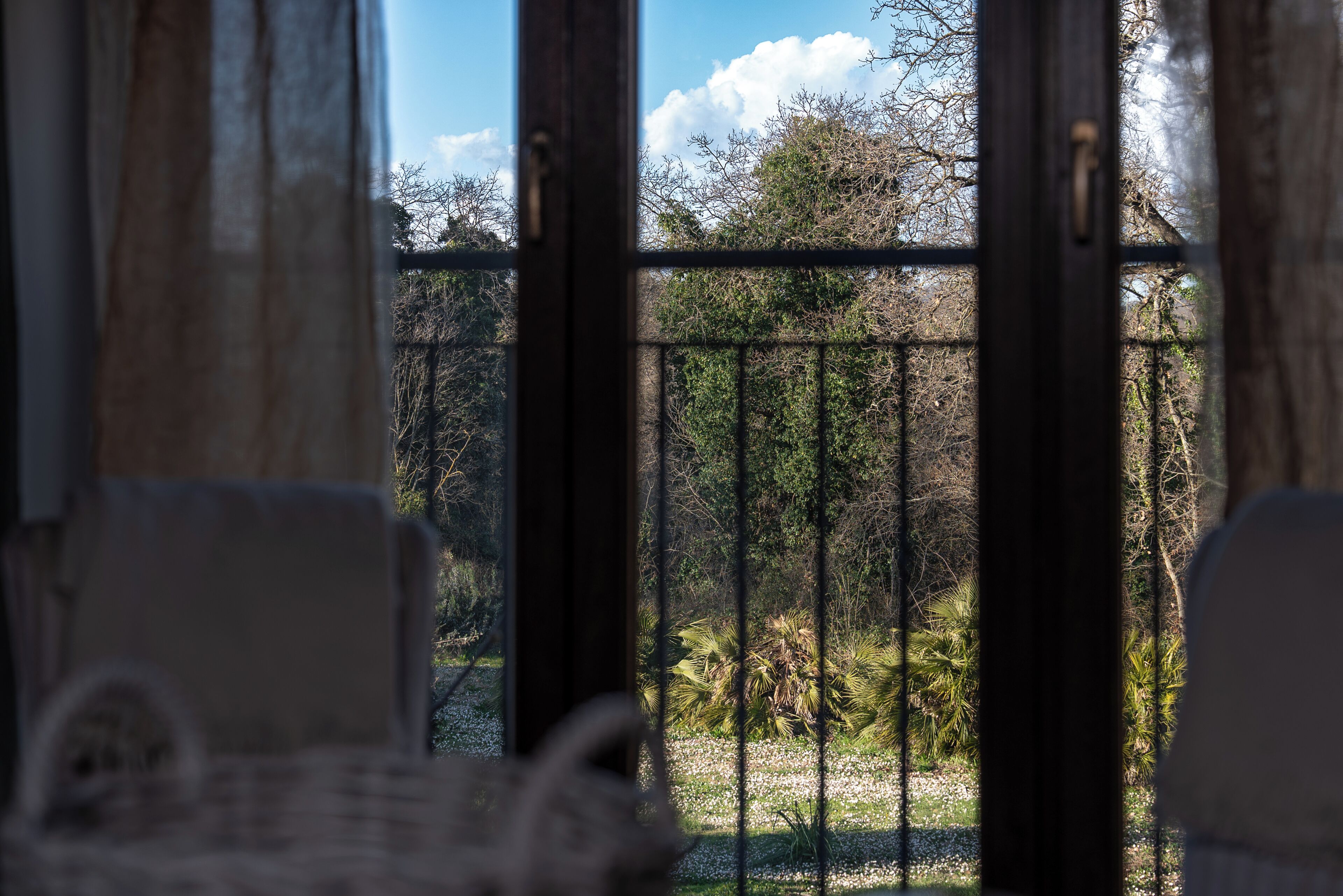 Vista a través de una ventana con barandilla de metal, una silla y un jardín con árboles y plantas.