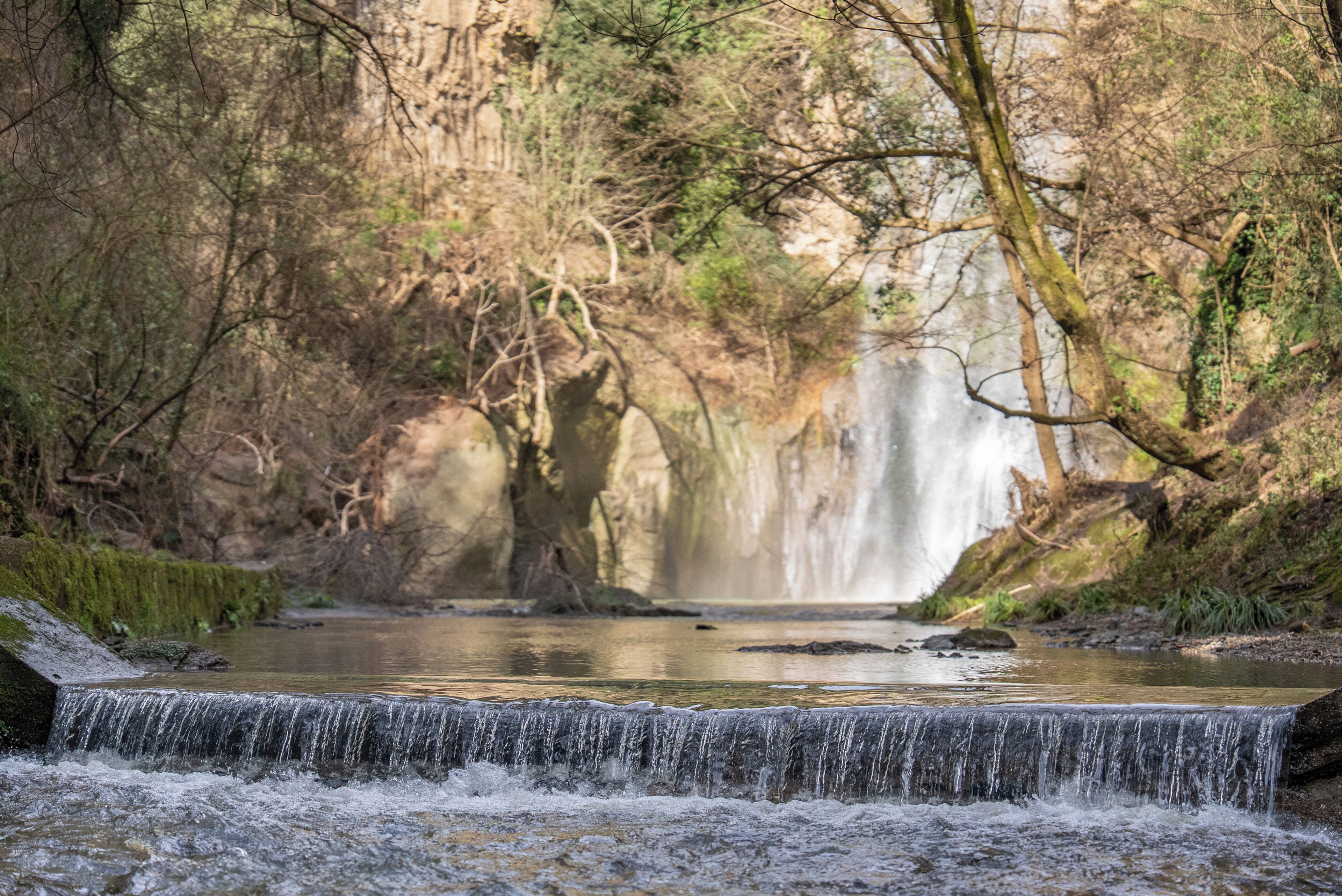 A waterfall in a forested area with a small stream in the foreground.
