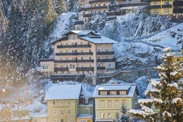 Front of property - Alpenhof (Bad Gastein)