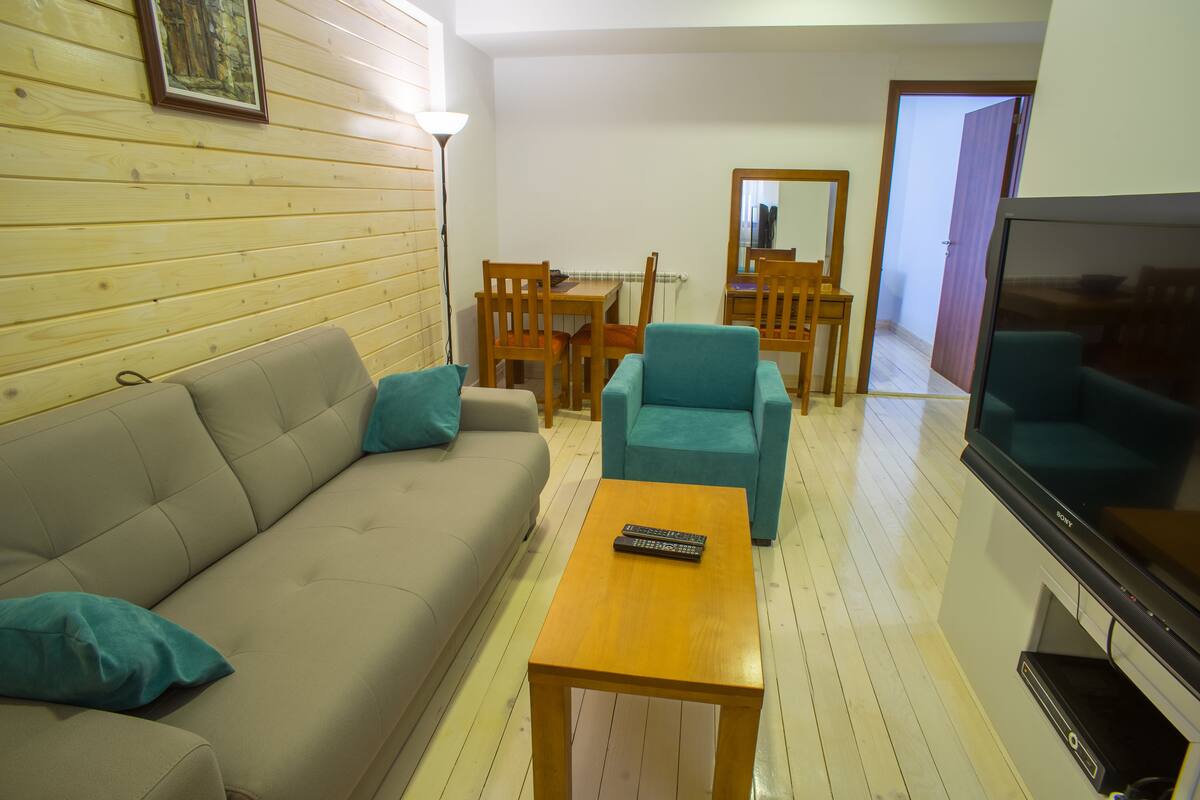 A living room with a sofa, a teal armchair, a wooden coffee table, and a TV.