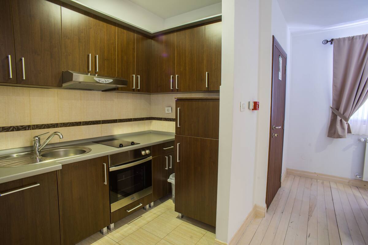 standard apartment, 1 bedroom | private kitchen