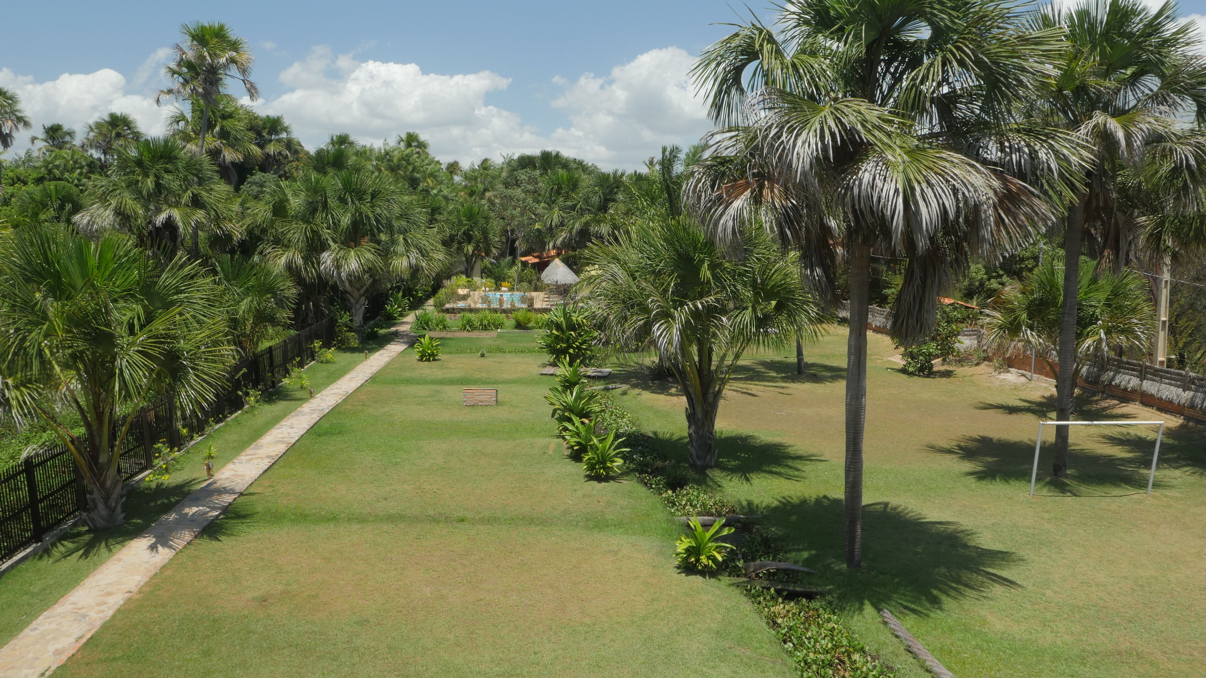 A well-maintained garden with a stone pathway, palm trees, and a thatched-roof structure in the background.