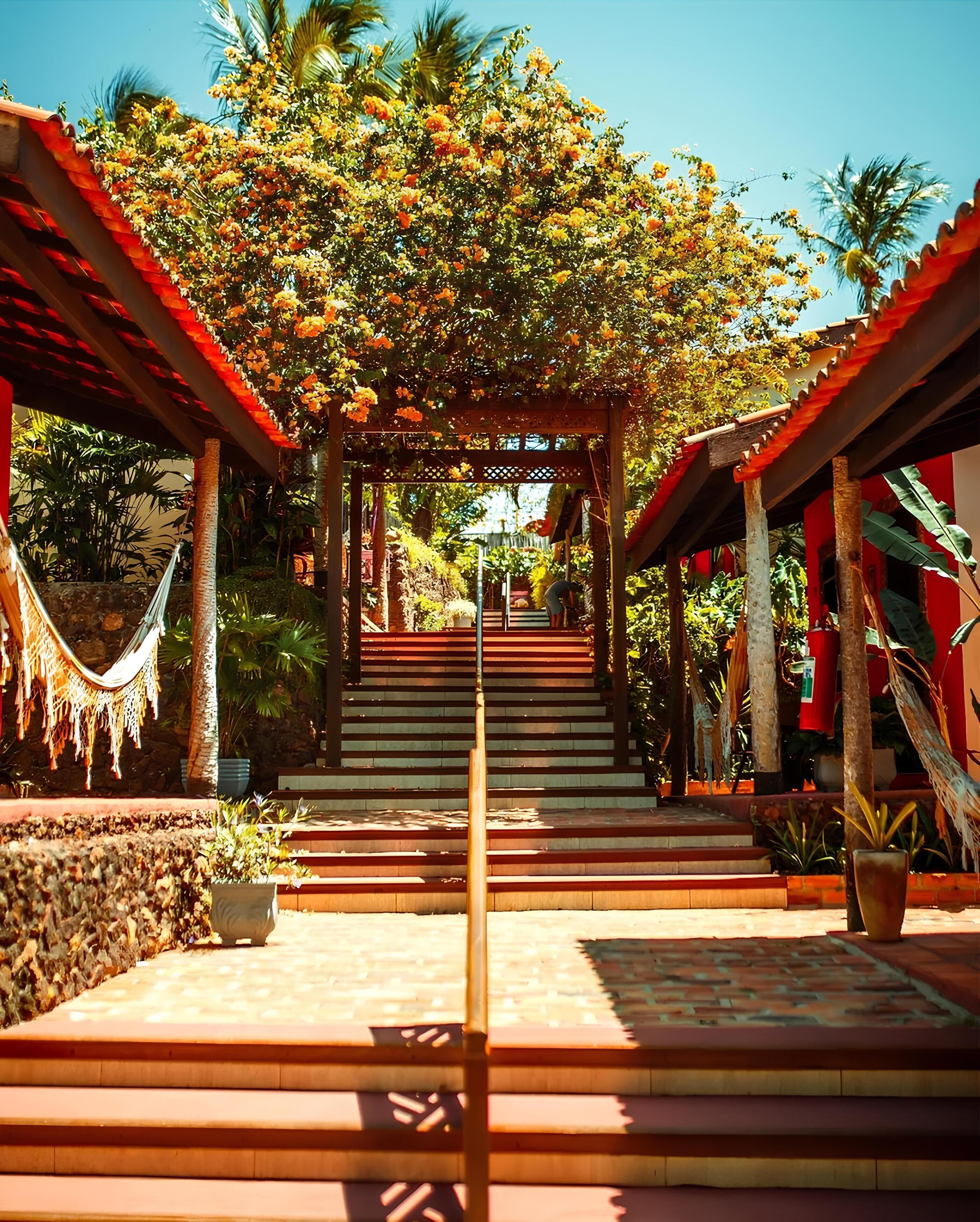 Vista desde la propiedad